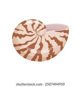 Detailed vector illustration of a spiral seashell in brown tones.