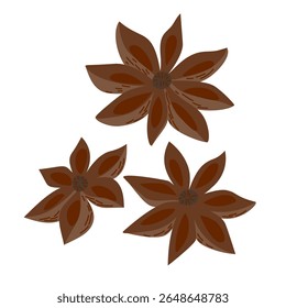 Detailed vector illustration of star anise, a star-shaped spice used for flavoring and herbal remedies