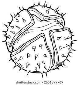 Ilustração vetorial detalhada de uma rebarba estilizada de castanheiro, mostrando sua concha espinhosa e interior segmentado em um estilo arrojado de arte em linha preta e branca.