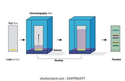 Detailed Vector Illustration of Thin Layer Chromatography Technique on a White Background for Scientific and Educational Use.