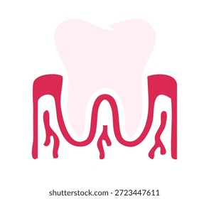 Ilustración vectorial detallada de la raíz dental para la salud médica y dental Educativo