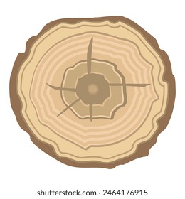 Detailed vector illustration of a tree trunk crosssection with annual rings