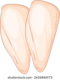 Detailed vector illustration of two raw chicken breasts with soft shading and realistic texture