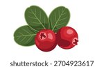 A detailed vector illustration of two ripe red cranberries with a small sprig of fresh green leaves isolated on a background.
