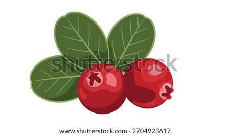 A detailed vector illustration of two ripe red cranberries with a small sprig of fresh green leaves isolated on a background.
