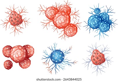 Detailed vector illustration of various biological cells in vibrant red and blue hues, showcasing intricate structures and branching patterns