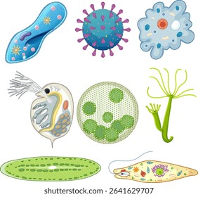 Detailed vector illustration of various microorganisms and cells in vibrant colors, showcasing diverse biological forms and structures
