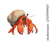 Detailed vector illustration of a vibrant hermit crab, perfect for tropical wildlife and ocean life designs. Ideal for educational or beach-themed projects.