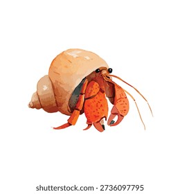 Detailed vector illustration of a vibrant hermit crab in its shell, ideal for marine life projects, educational content, or tropical beach designs.