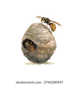 Detailed vector illustration of a wasp nest with two yellow jacket wasps. Ideal for pest control, nature, or educational content.