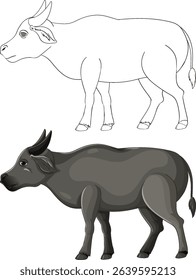 Detailed vector illustration of a water buffalo, featuring both colored and outline versions. Ideal for educational and design purposes