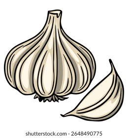 Detailed vector illustration of a whole garlic bulb and a single clove, showcasing a hand-drawn style with bold outlines and beige color palette, perfect for culinary designs.