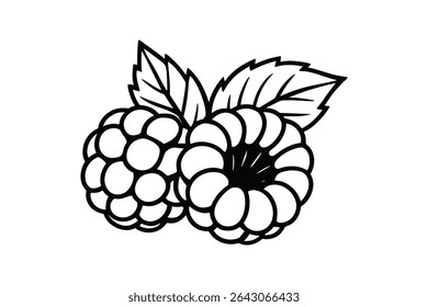 Detailed Vector Line Art Illustration of Raspberries for Food and Healthy Eating Designs