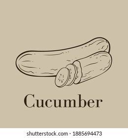 Detailed Vector Line Drawing Of Vegetable Cucumber With It's Cut Slices.  