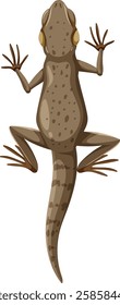 Detailed vector of a lizard from above