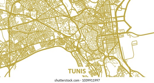 Detailed vector map of Tunis in gold with title, scale 1:30 000, Tunisia