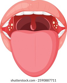 Detailed vector of mouth, tongue, and throat