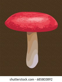 Detailed vector mushroom with red hat.