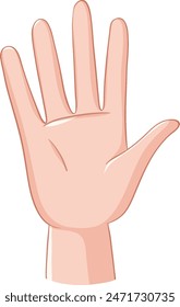 A detailed vector of an open hand