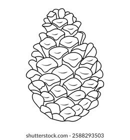 Detailed Vector Outline of a Pine Cone With Intricate Scale Patterns