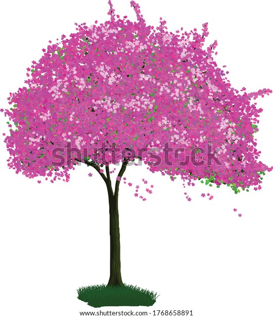 Detailed Vector Sakura Tree Cherry Blossom Stock Vector (Royalty Free ...