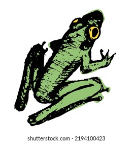 Detailed vector scetch of an sitting tree frog with bright eyes