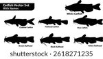A detailed vector set showcasing silhouettes of six different catfish species, labeled for easy identification