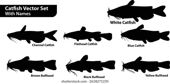 A detailed vector set showcasing silhouettes of six different catfish species, labeled for easy identification