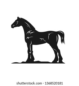 Detailed Vector silhouette of a Horse breed Clydesdale.