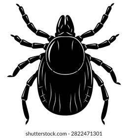 Detailed vector silhouette of a tick insect on white background