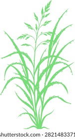 A detailed vector silhouette of a wild meadow plant covered in fresh morning dew drops, suitable for eco-friendly product packaging.