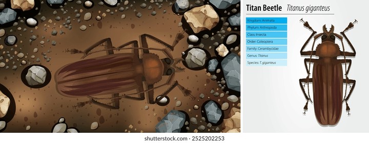 Detailed vector of Titan Beetle on soil
