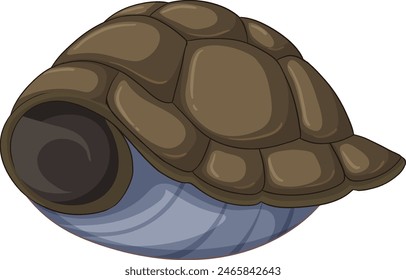 Detailed vector of a turtle shell