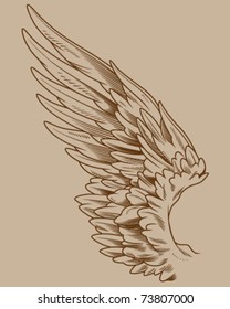 Detailed Vector Wing