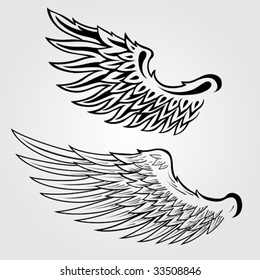 Detailed Vector Wings Illustration