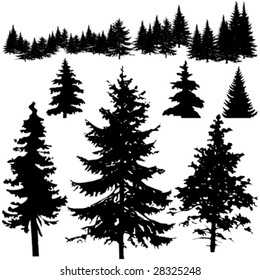 Detailed vectoral pine tree silhouettes.