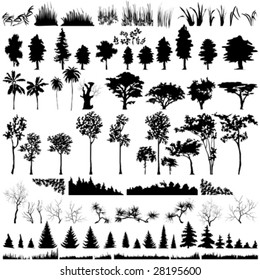 Detailed vectoral tree, leaf, branch and grass  silhouettes. svg