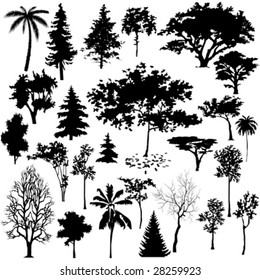 Detailed vectoral tree silhouettes.