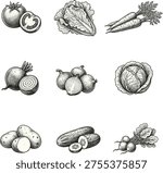 Detailed vegetable illustration collection featuring tomato, lettuce, carrot, beetroot, onion, cabbage, potato, cucumber, radish, black and white design