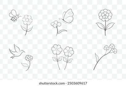 Detailed Verbena Line Art Vector Set Featuring Elegant Floral Illustrations for Botanical Designs