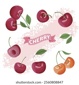 Detailed and Vibrant Cherry Vector Illustrations with Leafy Elements and Artistic Design