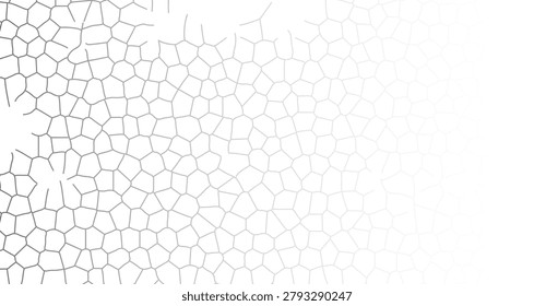 Detailed view of cracked dry earth surface showing intricate pattern and texture, emphasizing arid environment and drought conditions.