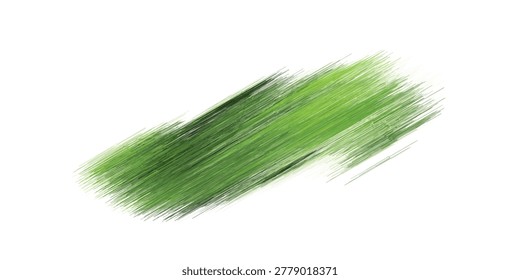 Detailed view of fresh green grass blades isolated on white background