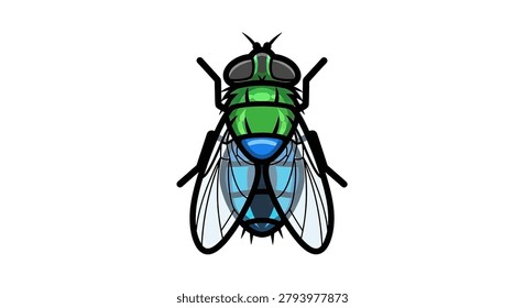 Detailed view of a green fly