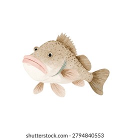 Detailed view of a large grouper fish