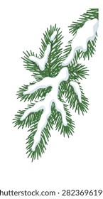Detailed view of pine tree branches with snow, capturing winter landscape elements for seasonal and nature-themed projects.