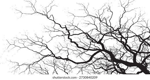 Detailed view of stark, bare tree branches forming a complex network against a bright white background.