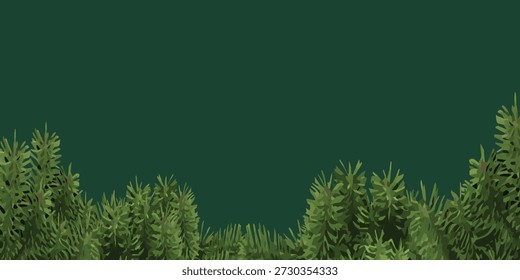 Detailed view of vibrant green pine needles and branches, showcasing their texture and form against a solid, dark teal backdrop.