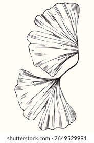 A detailed, vintage-style botanical illustration of two Ginkgo biloba leaves. The classic, hand-drawn engraving aesthetic makes this black and white artwork ideal for elegant branding