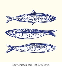 Detailed vintage-style drawing of three individual sardines in blue ink. Ideal for seafood branding, packaging, cookbooks, and culinary-themed design.